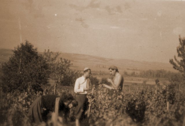 petovari_album_113_04c903