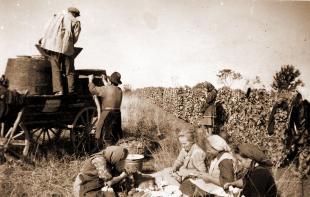 petovari_album_123_01c903