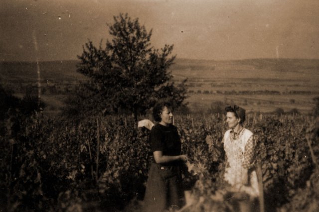 petovari_album_125_02c903