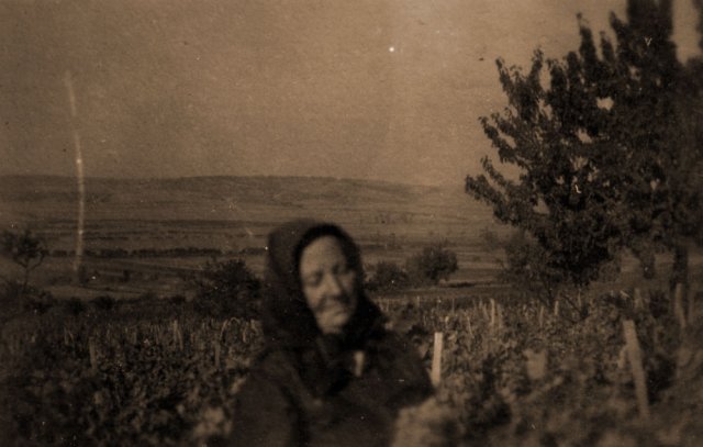 petovari_album_125_03c903