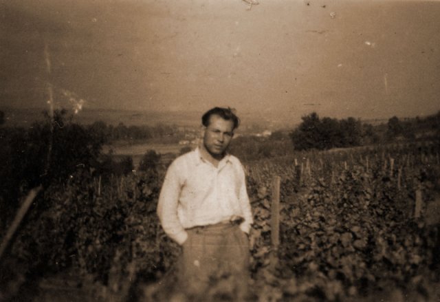 Petővári Ferenc