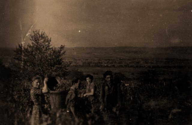 petovari_album_126_06c903