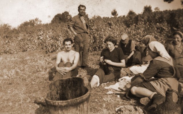 petovari_album_126_08c903