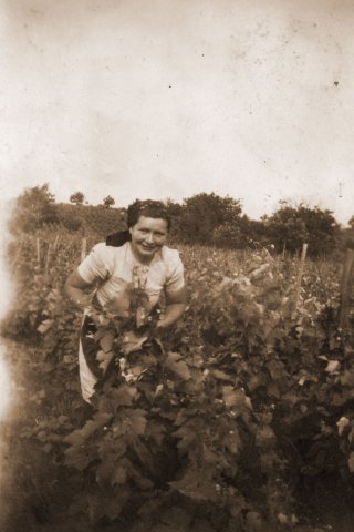 petovari_album_131_02c903