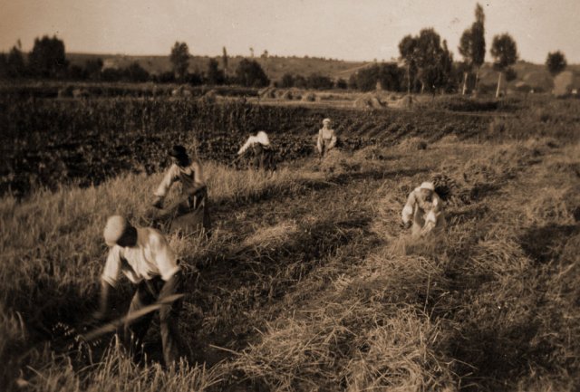 petovari_album_133_03c903