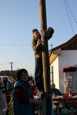 2017 Szent Iván éji tűzgyújtás, Májusfa állítás