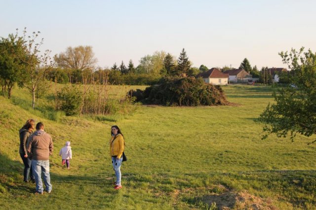 2017 Szent Iván éji tűzgyújtás, Májusfa állítás