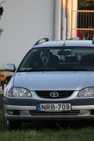 2017 Szent Iván éji tűzgyújtás, Májusfa állítás