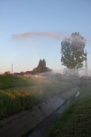 2017 Szent Iván éji tűzgyújtás, Májusfa állítás