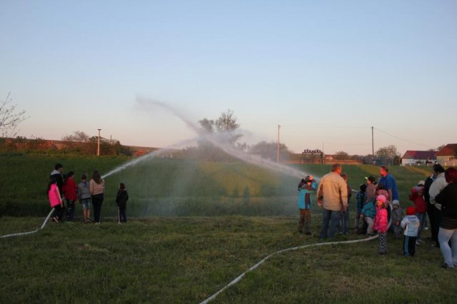 2017 Szent Iván éji tűzgyújtás, Májusfa állítás
