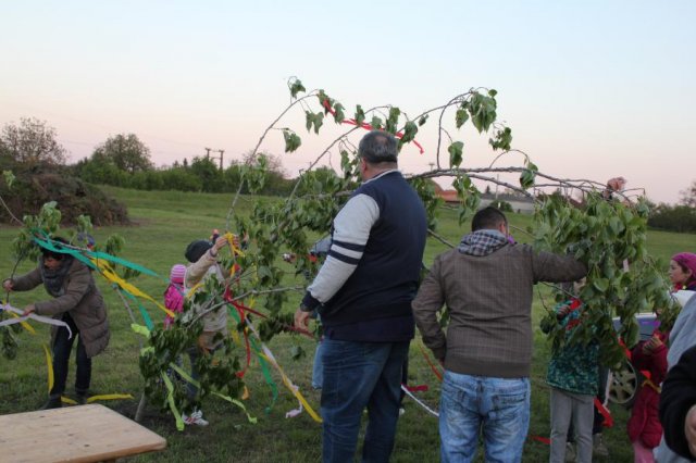 2017 Szent Iván éji tűzgyújtás, Májusfa állítás