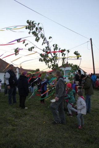 2017 Szent Iván éji tűzgyújtás, Májusfa állítás