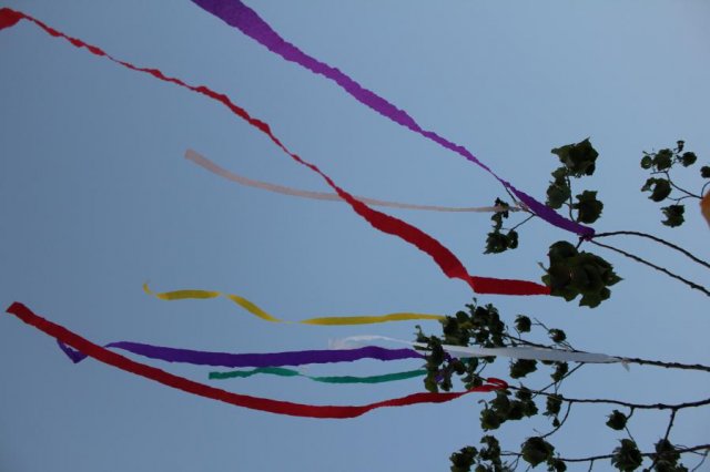 2017 Szent Iván éji tűzgyújtás, Májusfa állítás