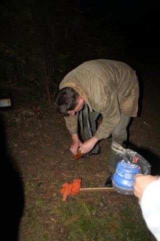 2017 Szent Iván éji tűzgyújtás, Májusfa állítás