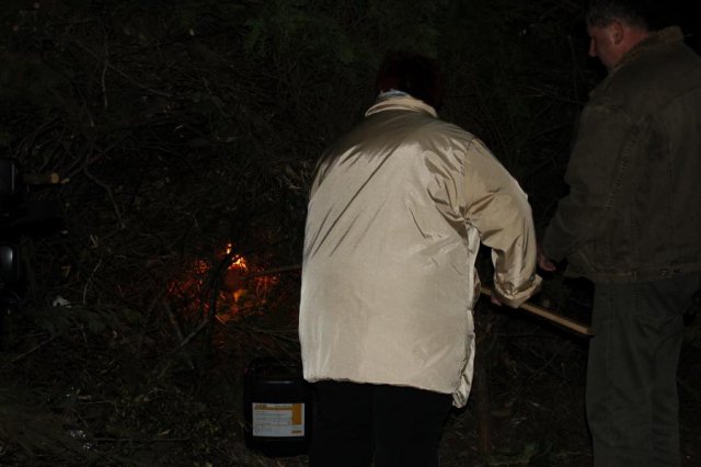 2017 Szent Iván éji tűzgyújtás, Májusfa állítás