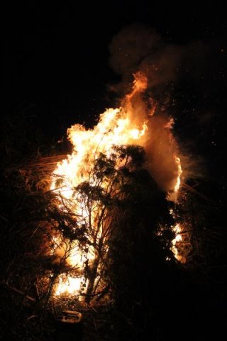 2017 Szent Iván éji tűzgyújtás, Májusfa állítás