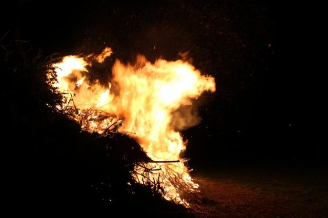 2017 Szent Iván éji tűzgyújtás, Májusfa állítás