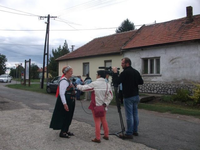 2017 Szüreti felvonulás