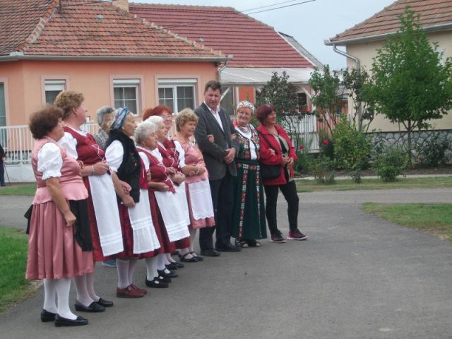 2017 Szüreti felvonulás