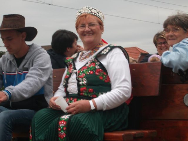 2017 Szüreti felvonulás