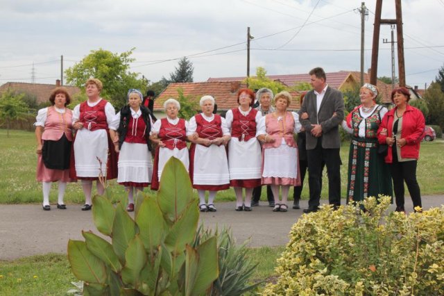 2017 Szüreti felvonulás