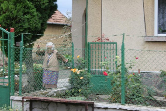 2017 Szüreti felvonulás