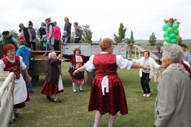 2017 Szüreti felvonulás