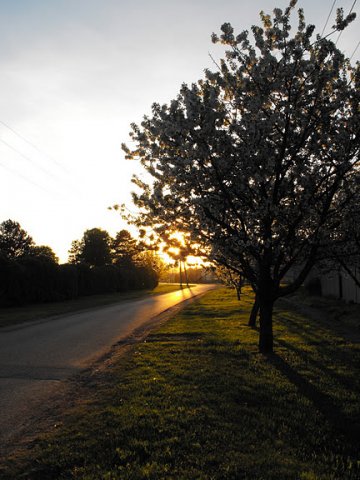 Fotópályázat 2011 díjnyertes fotói