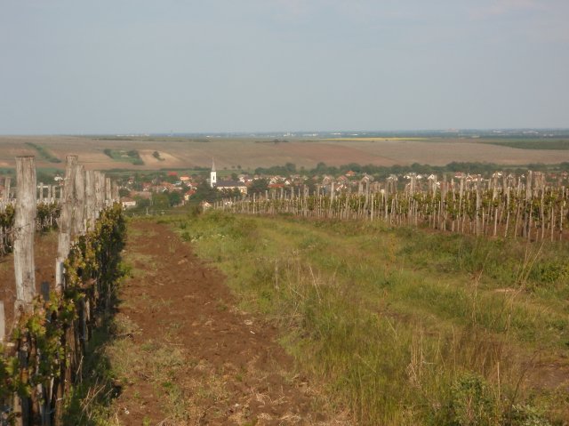 Fotópályázat 2011 díjnyertes fotói