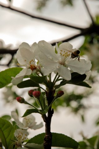 Fotópályázat 2011 díjnyertes fotói