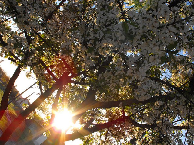 Fotópályázat 2011 díjnyertes fotói