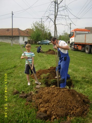 Faültetés 2011