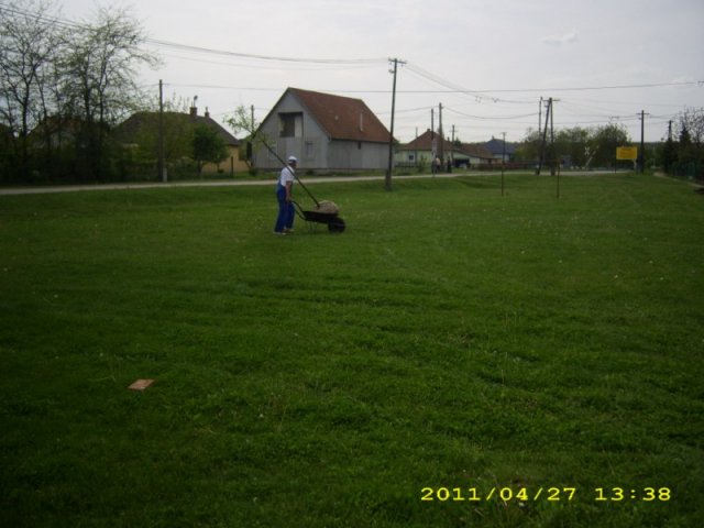 Faültetés 2011