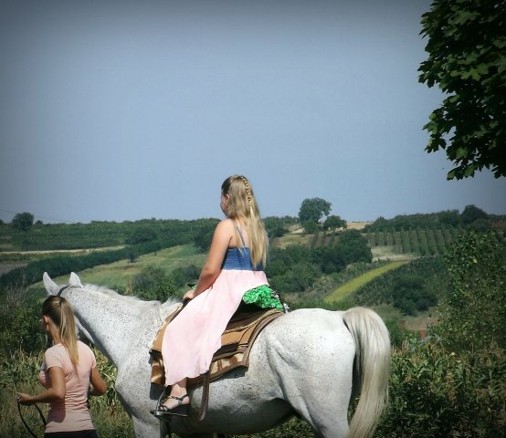 Gulyásfesztivál 2015