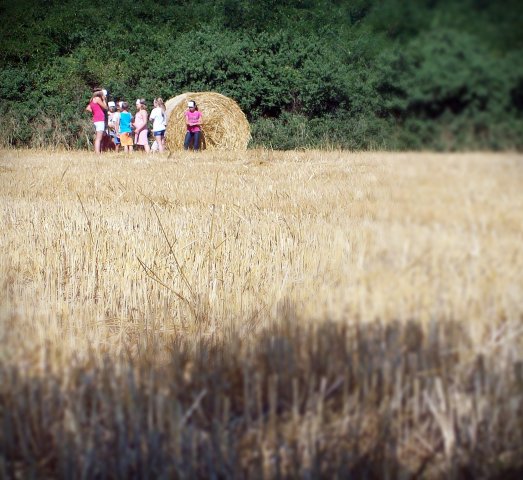 Szabadidős foglalkozások gyerekeknek 2015