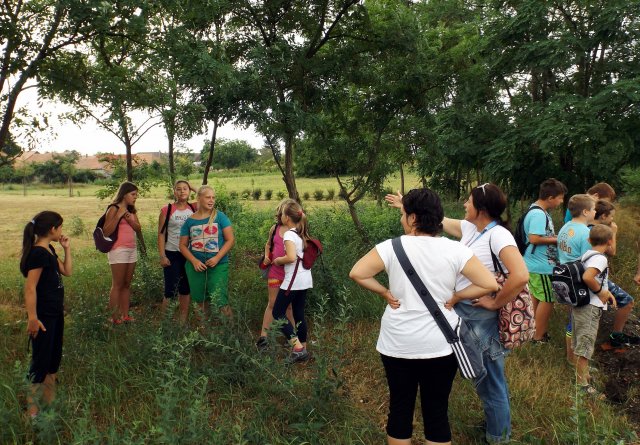 Szabadidős foglalkozások gyerekeknek 2015