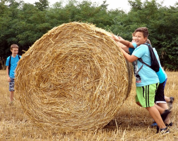 Szabadidős foglalkozások gyerekeknek 2015