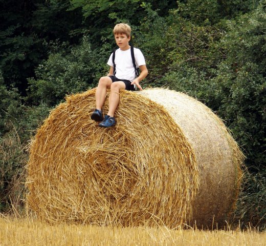 Szabadidős foglalkozások gyerekeknek 2015