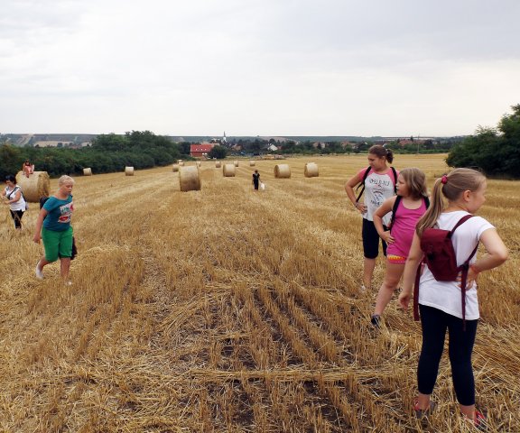 Szabadidős foglalkozások gyerekeknek 2015