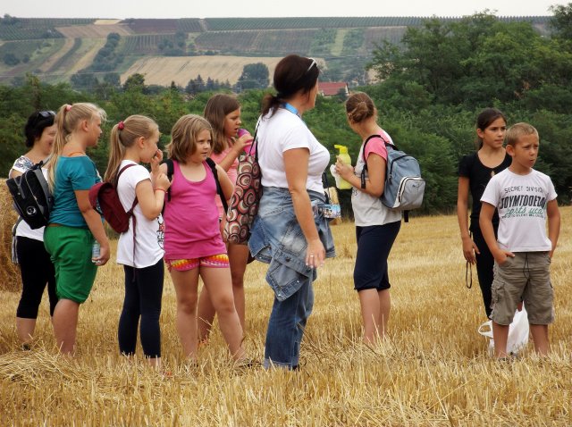 Szabadidős foglalkozások gyerekeknek 2015