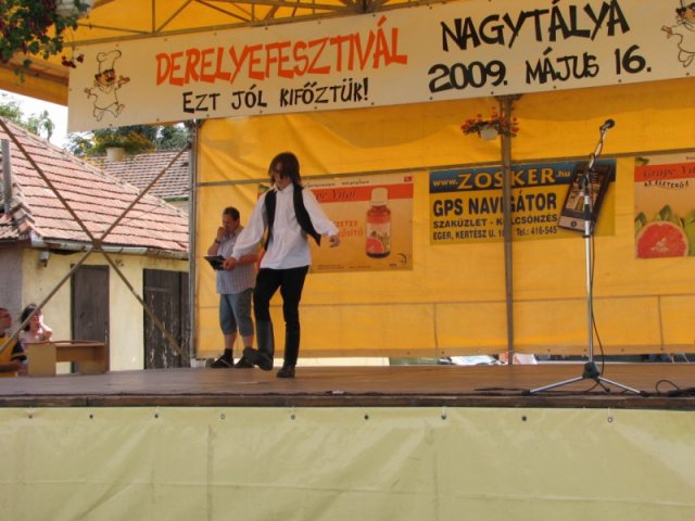 Derelyefesztivál - 2009