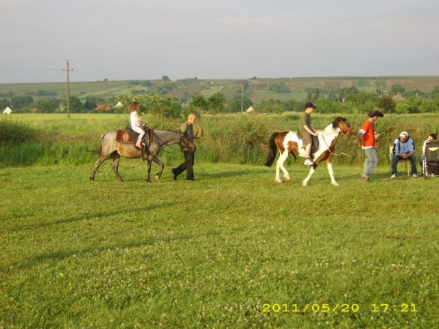 Derelyefesztivál - 2011