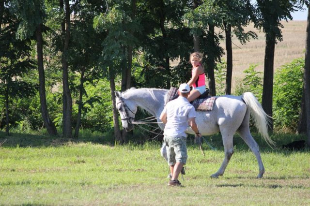 2016-gulyásfesztivál