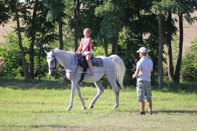 2016-gulyásfesztivál