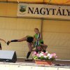 2016-gulyásfesztivál