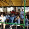 2016-gulyásfesztivál