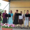 2016-gulyásfesztivál