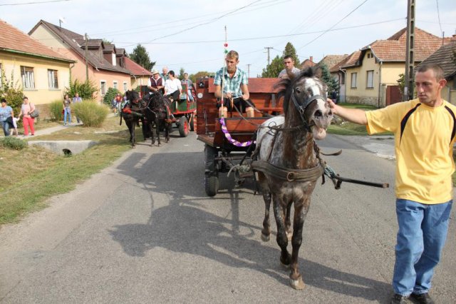 2016-szüreti felvonulás