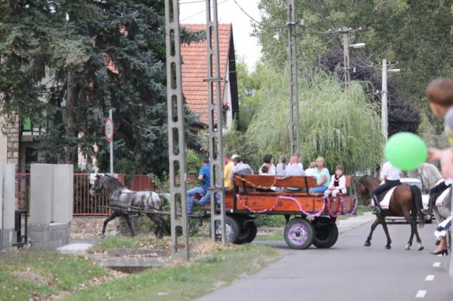2016-szüreti felvonulás