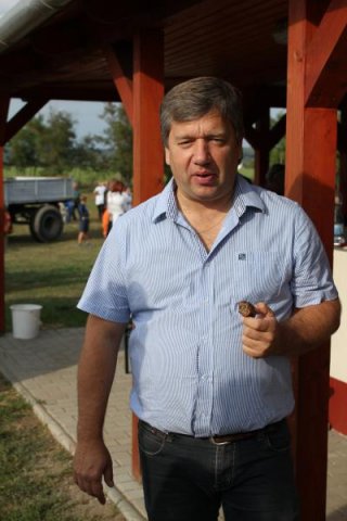 2016-szüreti felvonulás